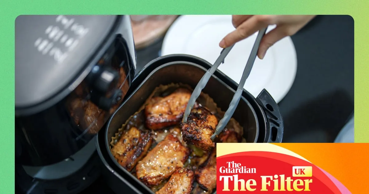 Air Fryer Debate: Essential Kitchen Gadget or Clutter?