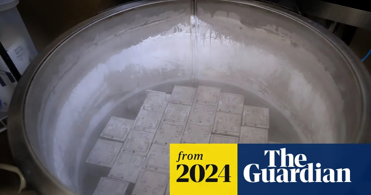 Alabama IVF Chaos: Embryo Ruling Halts Treatments