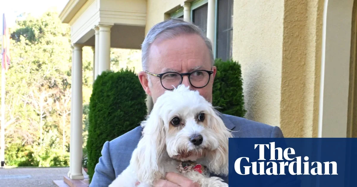 Grattan Institute Reveals Summer Reading List for PM Albanese