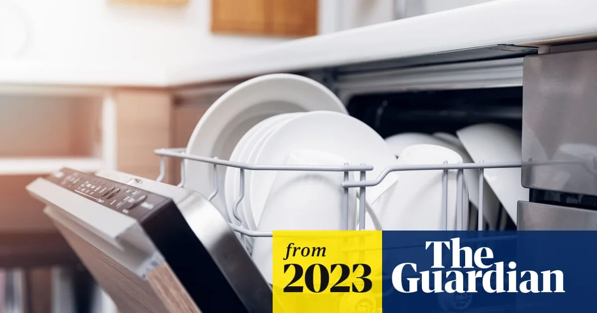 Aldi Dishwasher Tablets Outperform Expensive Brands in Choice Test