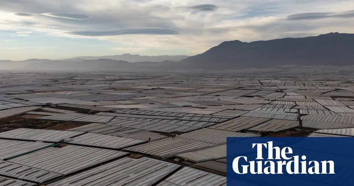 Andalusia's Sea of Plastic: Europe's High-Tech Vegetable Garden Visible from Space
