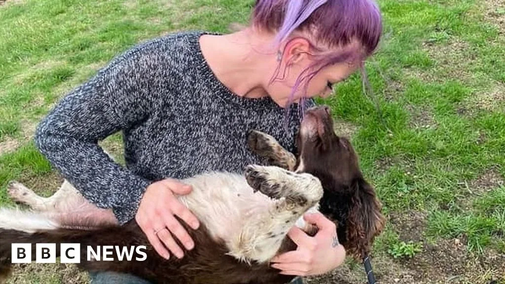Suffolk Woman Reunited with Dog Two Days After Burying Fox Believed to Be Her Pet