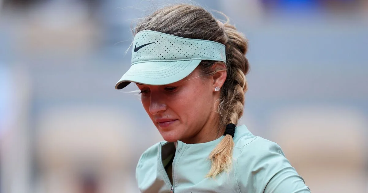 Anna Kalinskaya's Dog Barking Forces Boyfriend to Leave Court During French Open Win