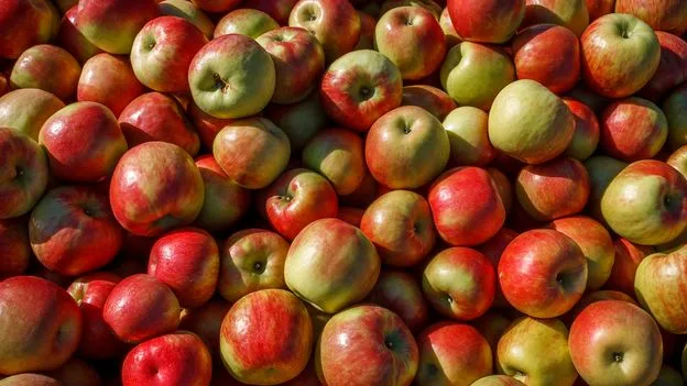 Apple a Day May Keep the Doctor Away, New Study Confirms
