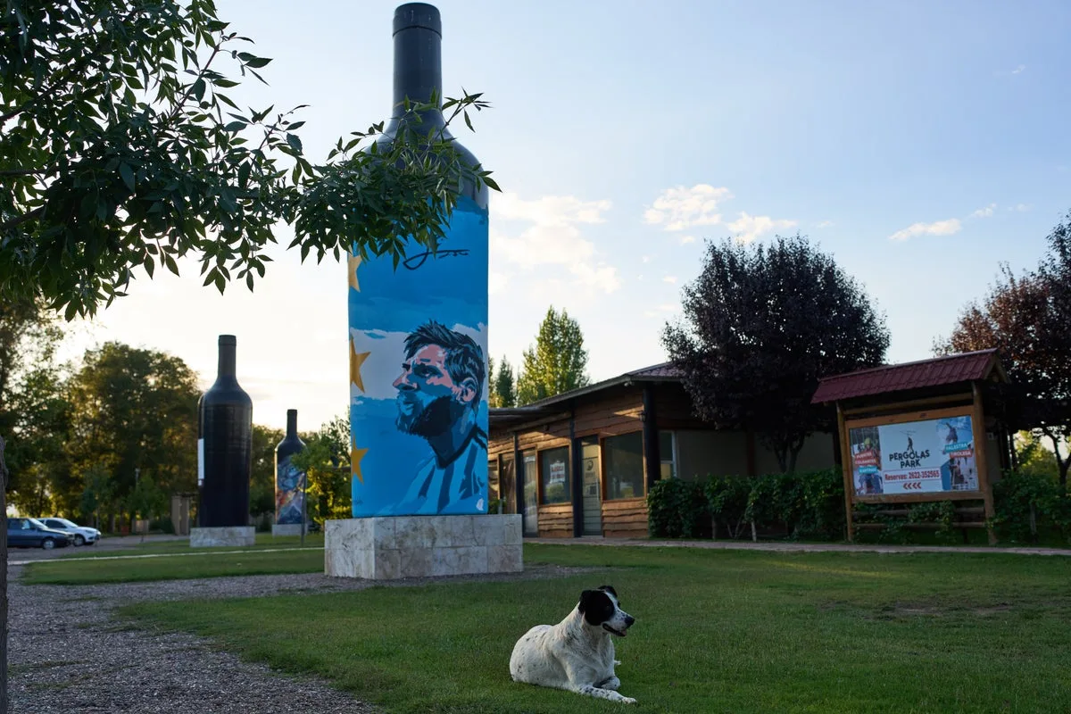 Argentina Wine Industry Crisis: Domestic Consumption Hits Record Low
