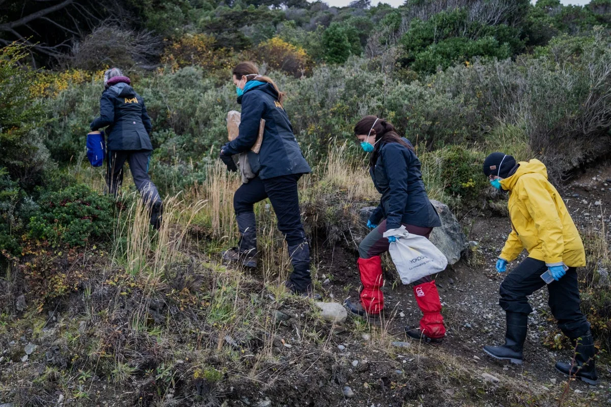 Rodent Trapping Underway in Ushuaia to Trace Hantavirus Outbreak Source