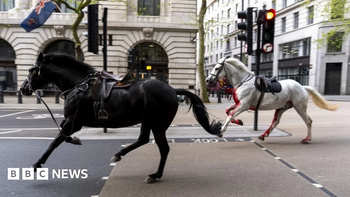 Runaway Army Horses Injure Four in Central London Chaos