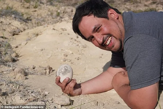 Perfectly Preserved 70-Million-Year-Old Dinosaur Egg Discovered in Argentina