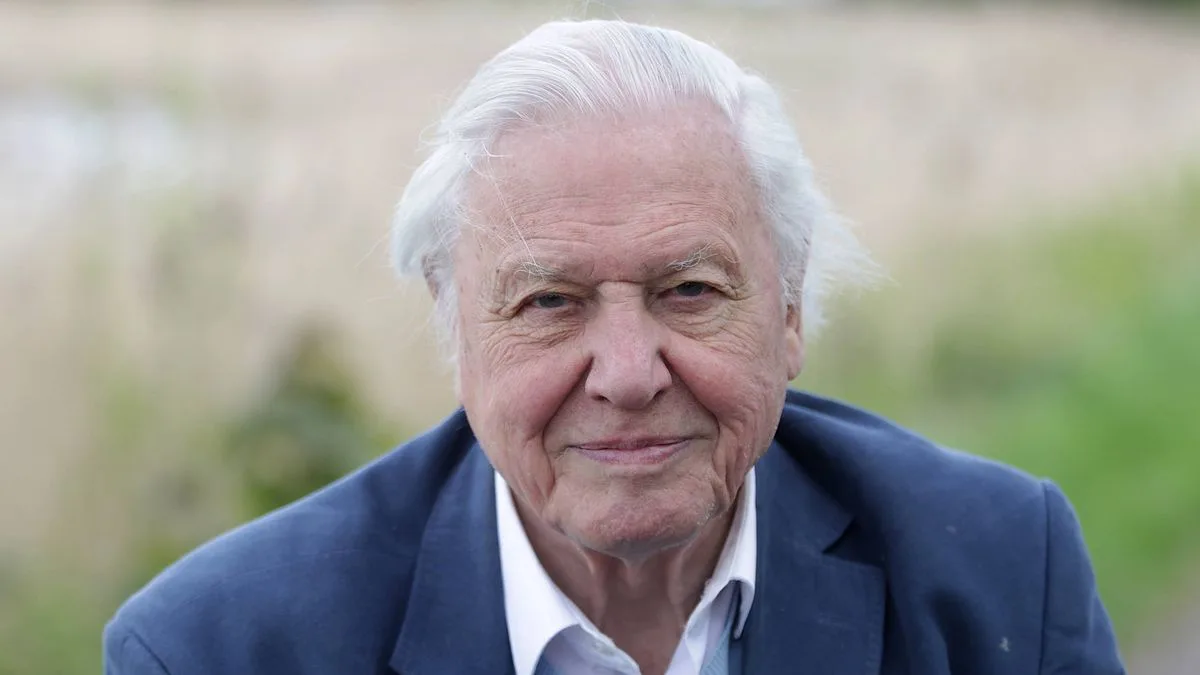 David Attenborough Urges Britons to Leave Sugar Water for Bees in Gardens