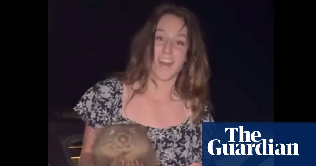 US Influencer Apologises for Baby Wombat Incident, Claims Concern for Animal's Safety