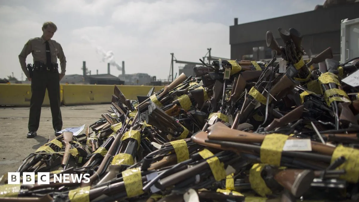 Could Australia's Gun Laws Offer a Solution for the US?