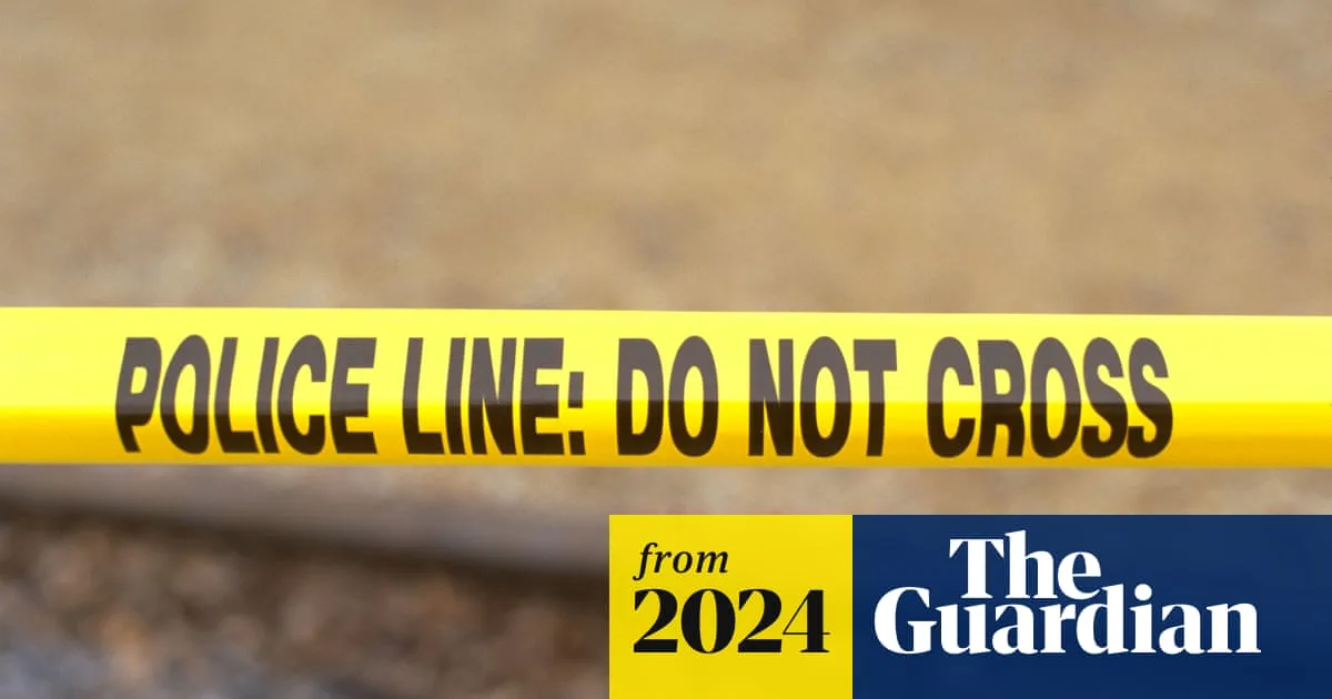 Baby Dies After Mother Mistakenly Puts Her in Oven for Nap