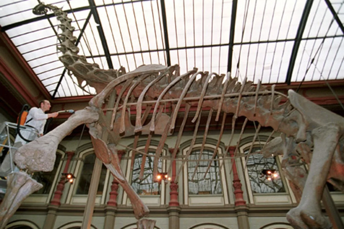 Baby Sauropods Were Prime Prey for Jurassic Predators, Study Finds