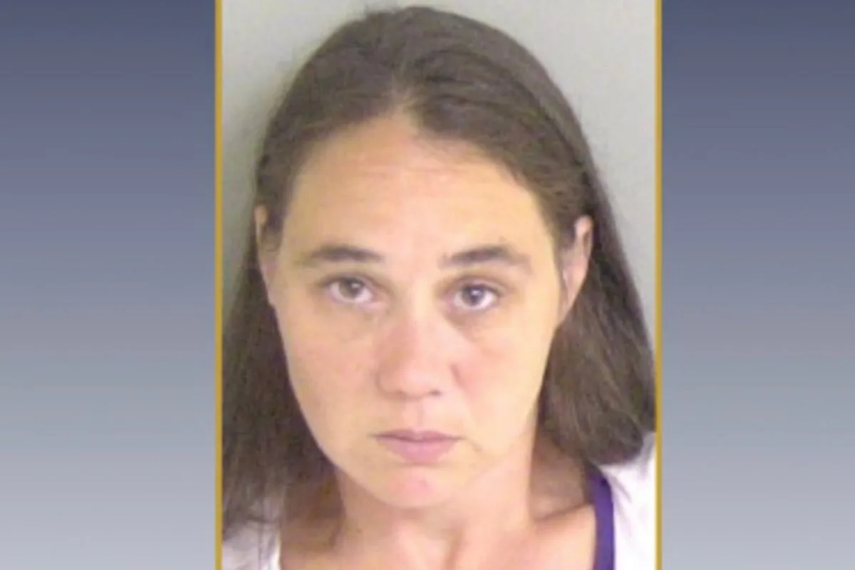 Babysitter arrested after toddler drowns in backyard pool