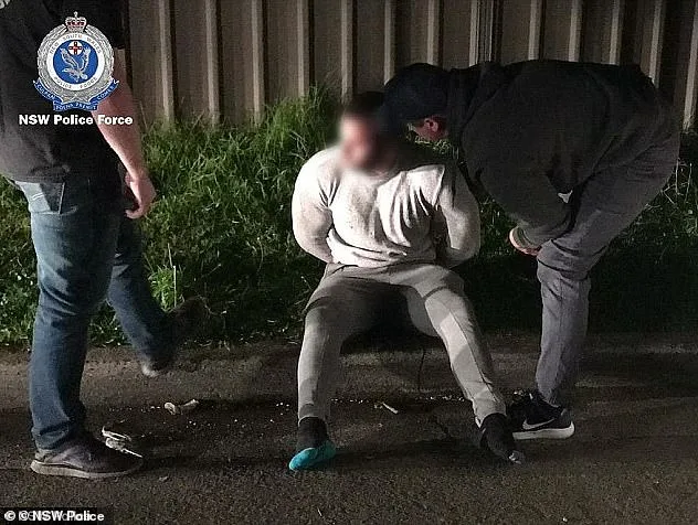 Tradie and gym junkie face life in jail for ice trafficking after police chopper bust