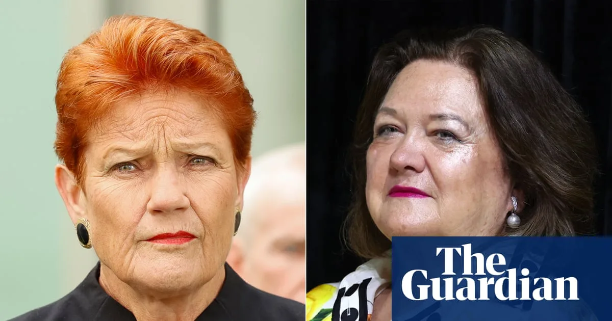 Bernardi Vows to Pay for Flights on Rinehart Plane Amid Donations Ban Confusion