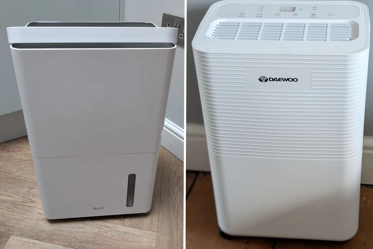 11 Best Dehumidifiers Expert-Tested to Tackle Damp and Mould at Home