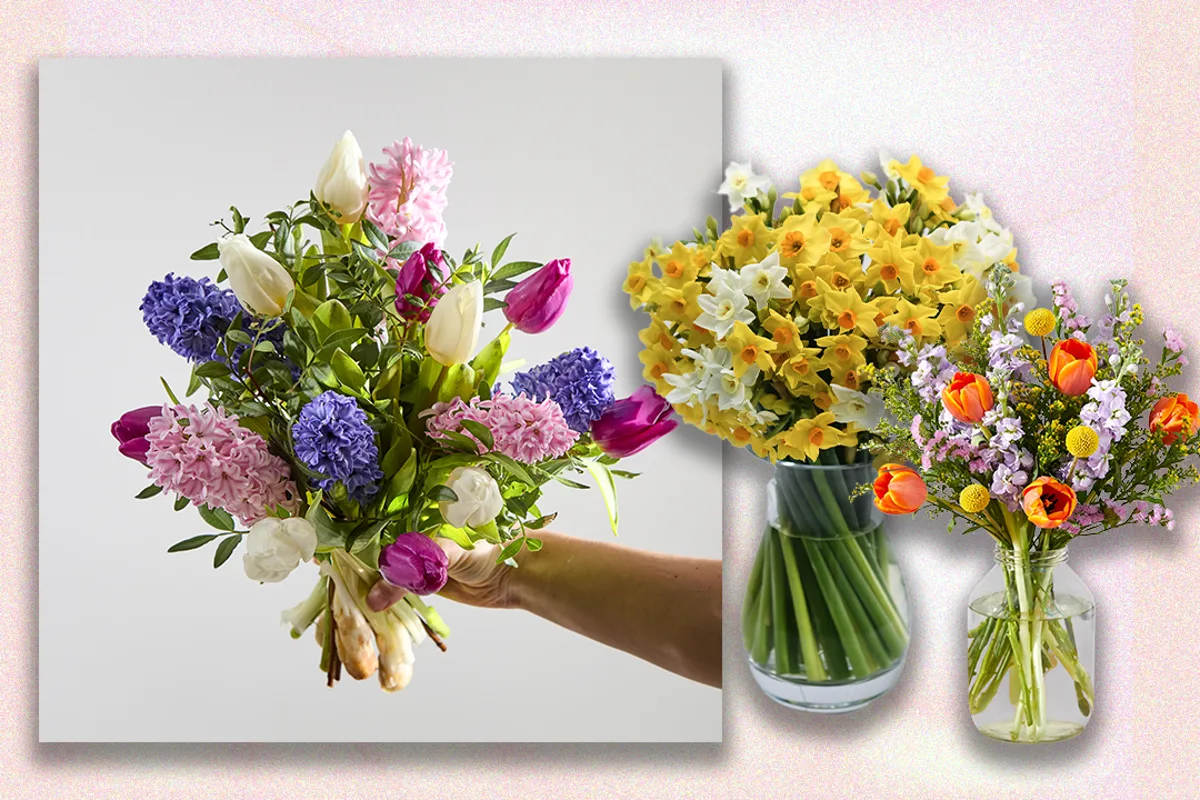 Best Letterbox Flower Services for Thoughtful Gifting