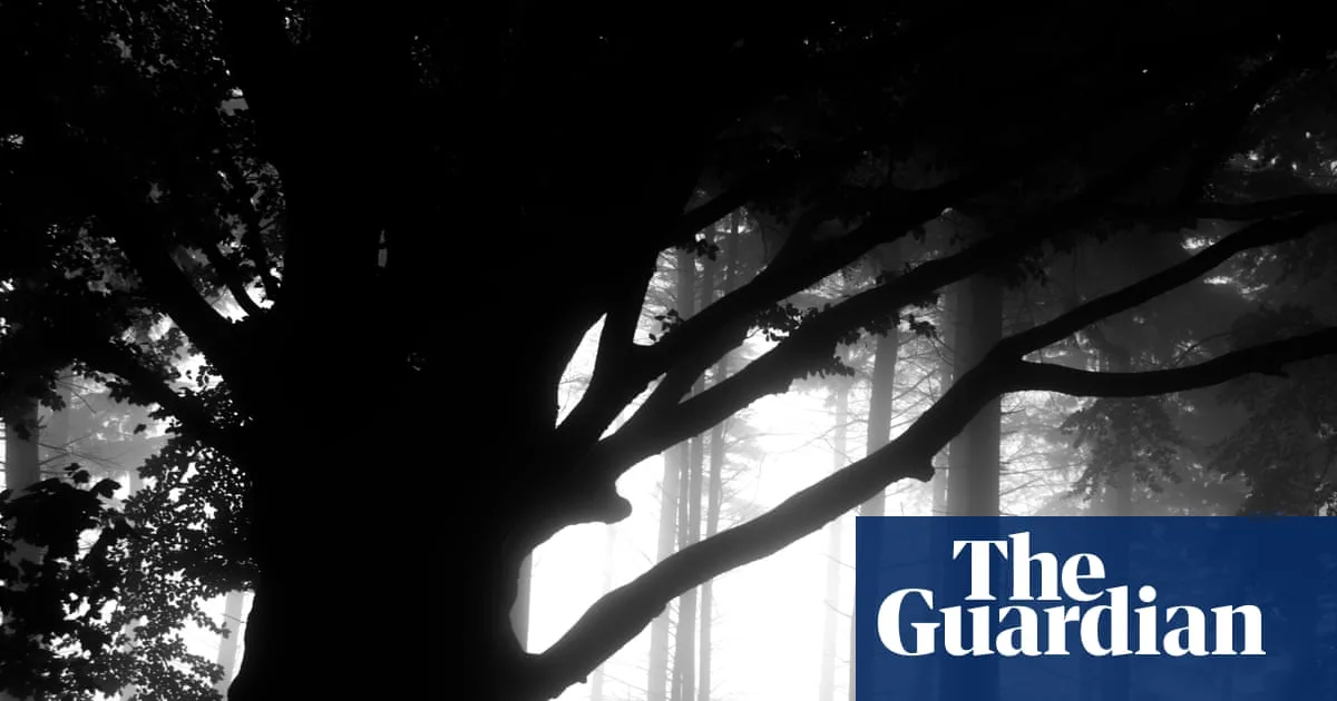 Best Recent Crime and Thrillers: A Roundup of New Novels