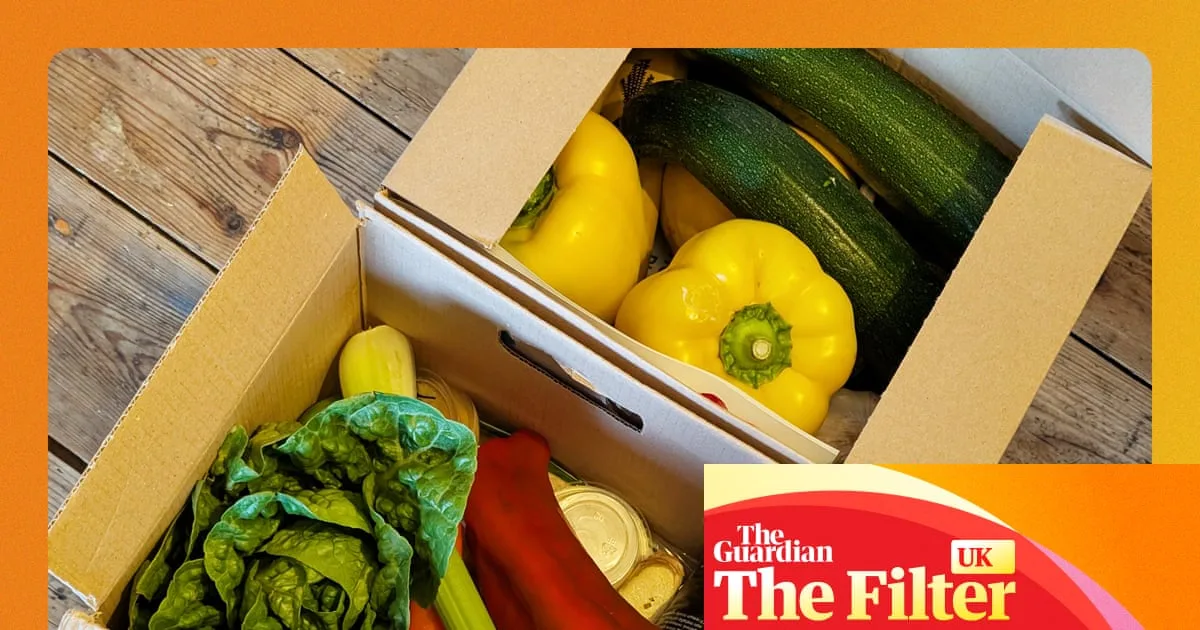 Best recipe boxes and meal kits for time-poor foodies, tested