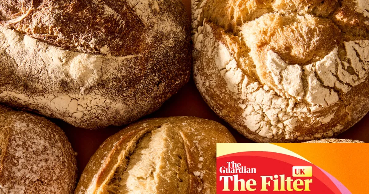 Supermarket Sourdough Showdown: Thomasina Miers Rates the Best