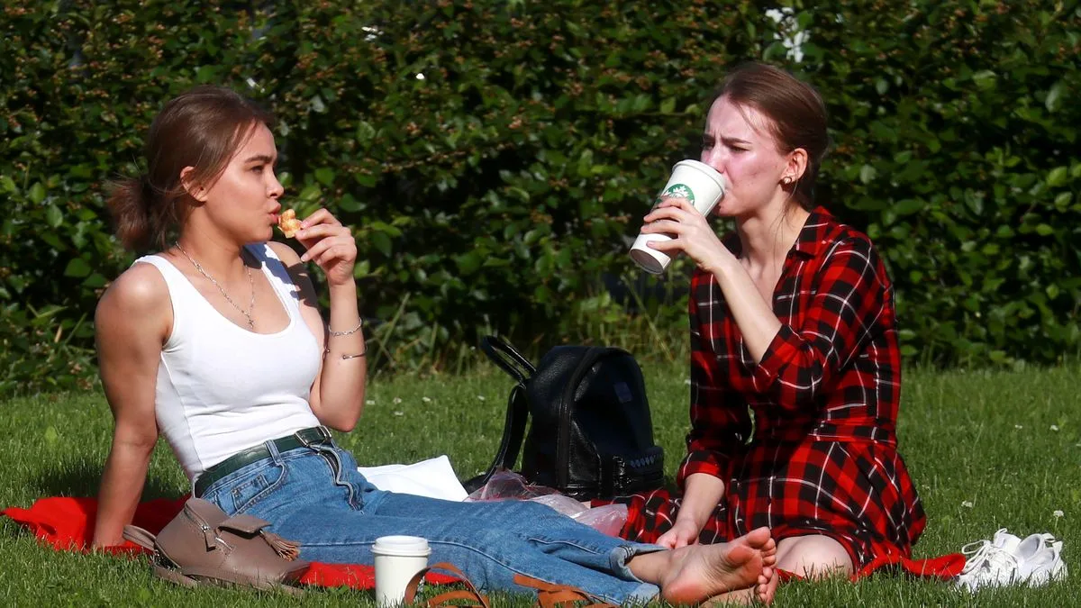 Houmous and sushi top modern picnic baskets, study finds