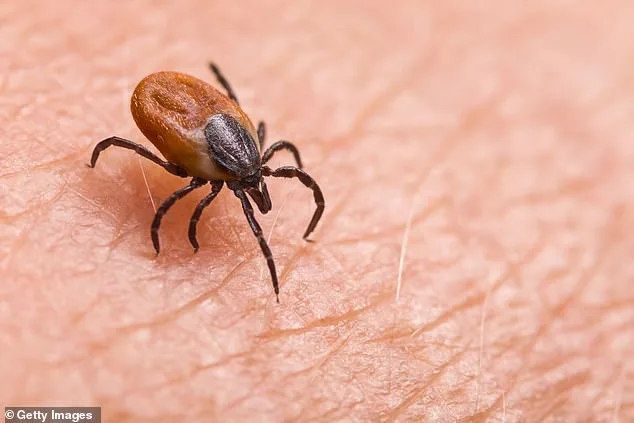 US Congress Orders Investigation into Claims Military Weaponized Ticks