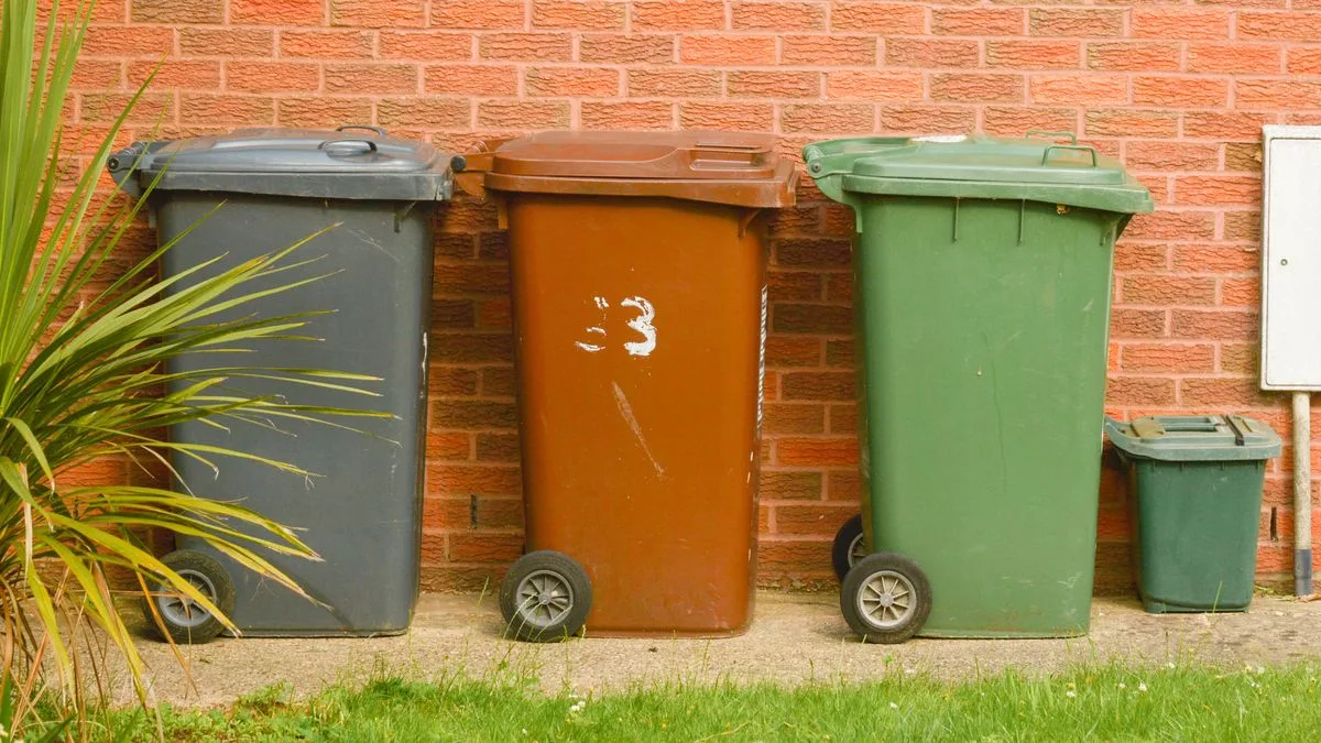 Binmen Can Refuse to Collect Overfilled Bins, Expert Warns