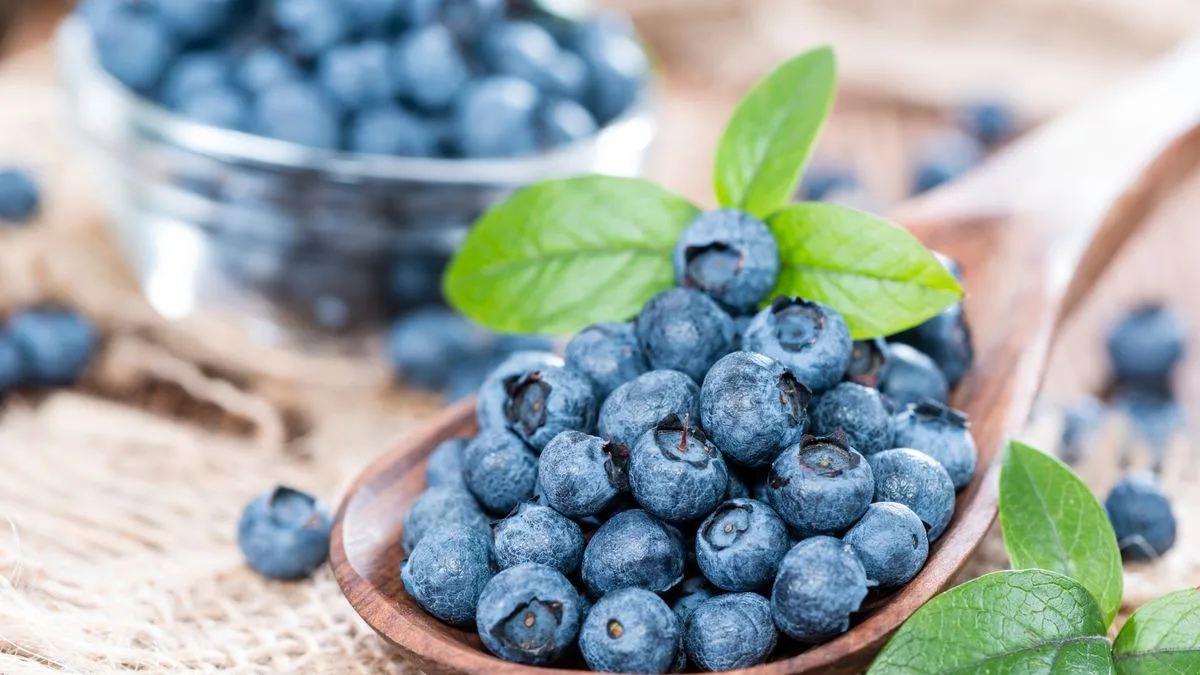 Avoid Common Blueberry Storage Mistake That Creates Mould