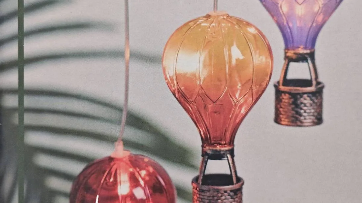 'Fantastic' £6 The Range garden lights so good 'I tried to get more'
