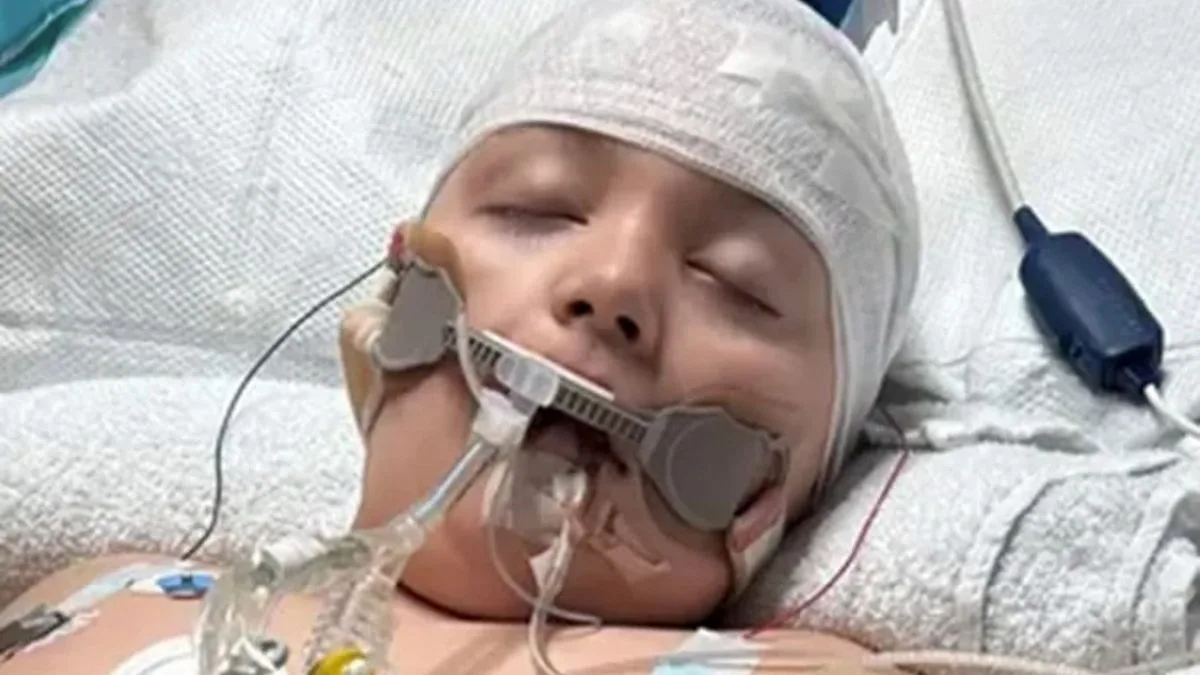 Boy, 11, Dies from Severe Flu Before Opening Christmas Presents