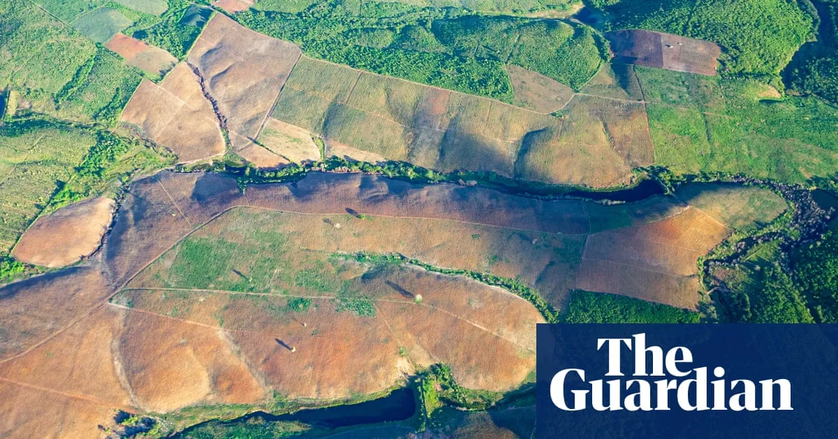 Brazil's Atlantic Forest Deforestation Hits Lowest Level in 40 Years