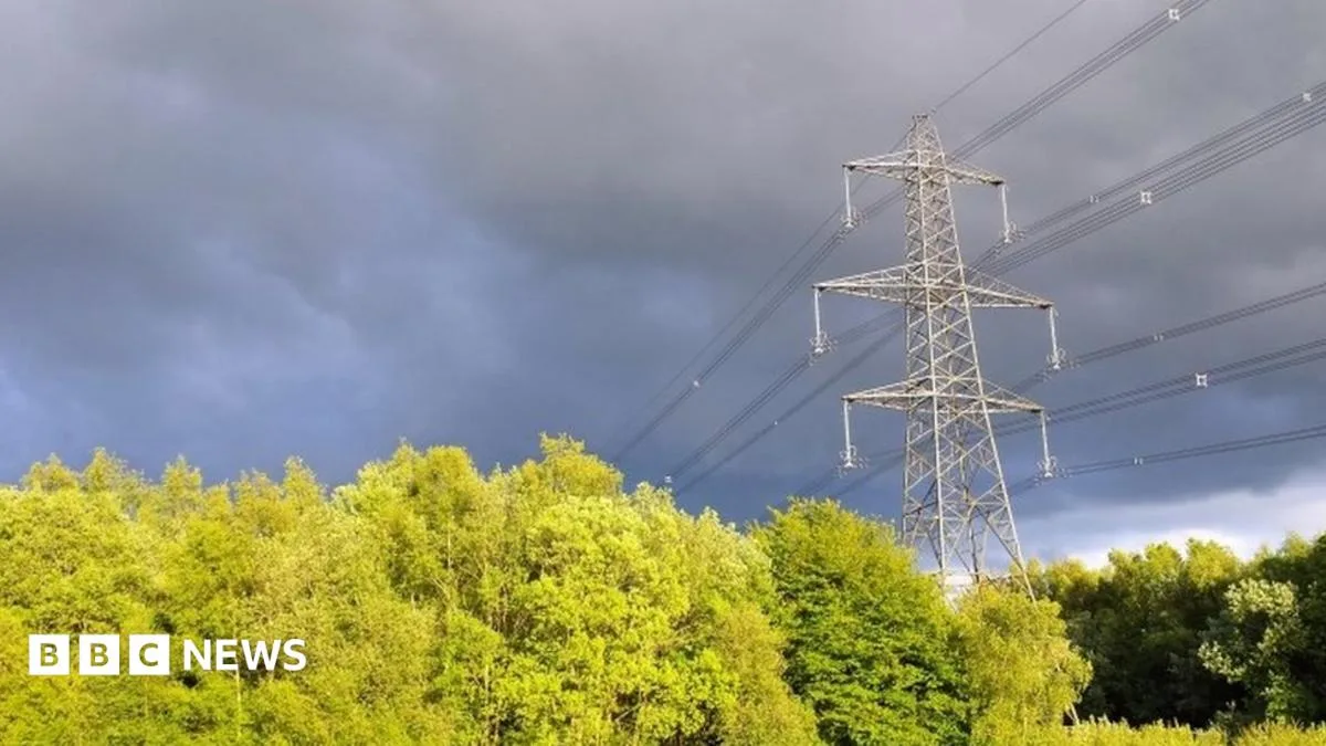 Brexit Backtrack Fears Over EU Electricity Deal