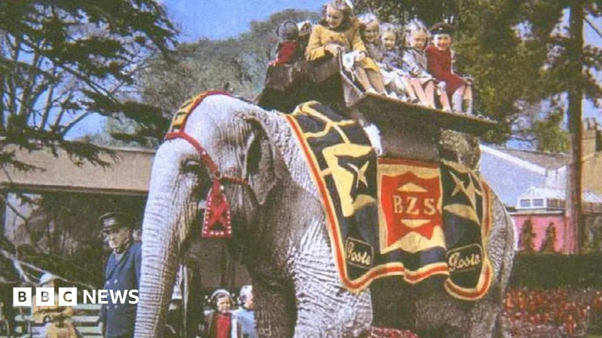 Bristol Zoo Closes After 186 Years, Ending Historic Era