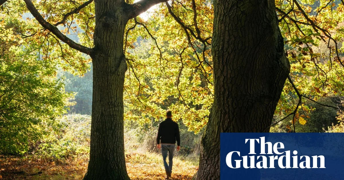 Britain Among Least Nature-Connected Nations, Global Study Finds