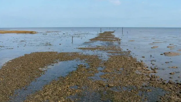 Britain's Deadliest Path: The Broomway's Fatal History
