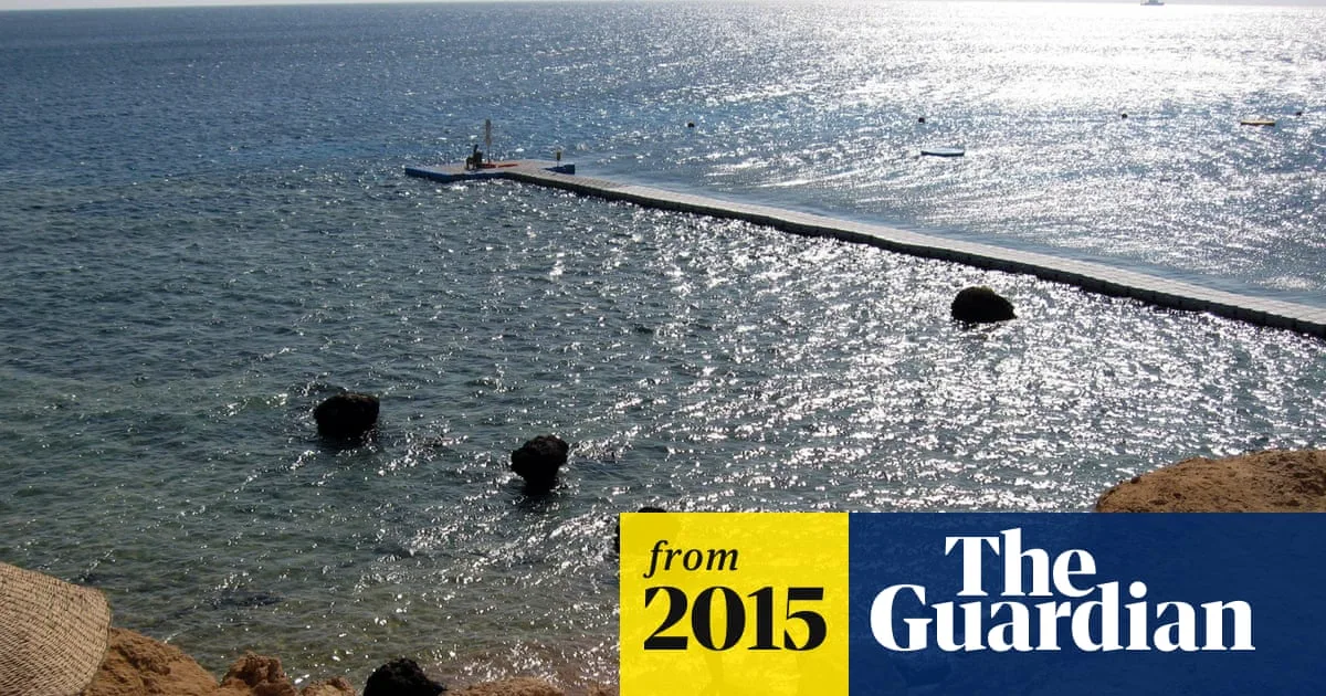 British Tourist Loses Leg in Egypt Shark Attack