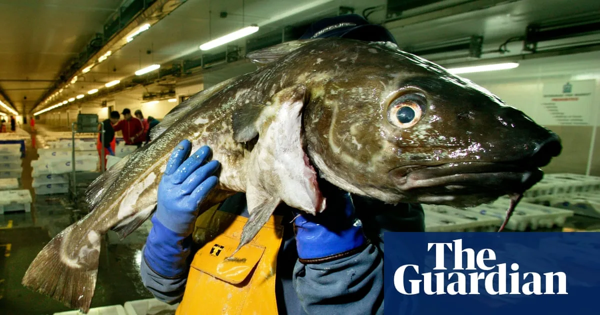 Brits Urged To Avoid UK-Caught Cod As Populations Plummet