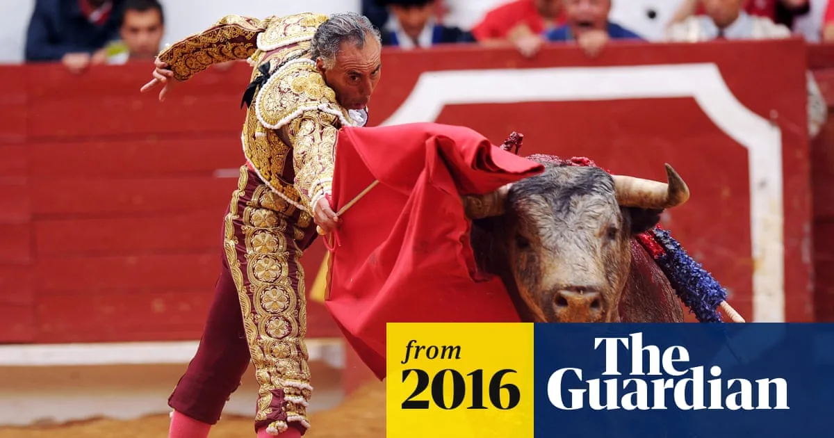 Mexican Bullfighter Rodolfo 'El Pana' Rodriguez Dies After Goring