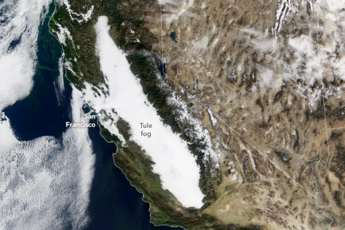 Mysterious 'Radiation Fog' in California Sparks Health Fears, But Scientists Clarify