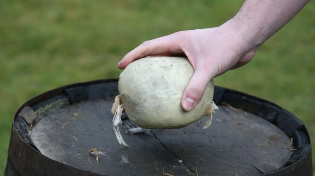Scots Butcher Launches Campaign to Legalise Haggis in US for World Cup