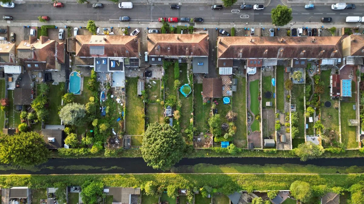 Can I Trim My Neighbour's Tree Branches? Experts Agree on the Rules
