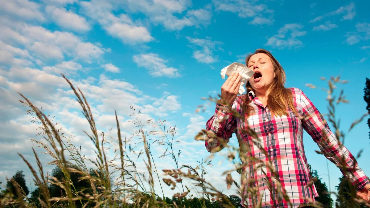 Hay Fever Sufferers Urged to Use Car Button as Pollen Levels Soar