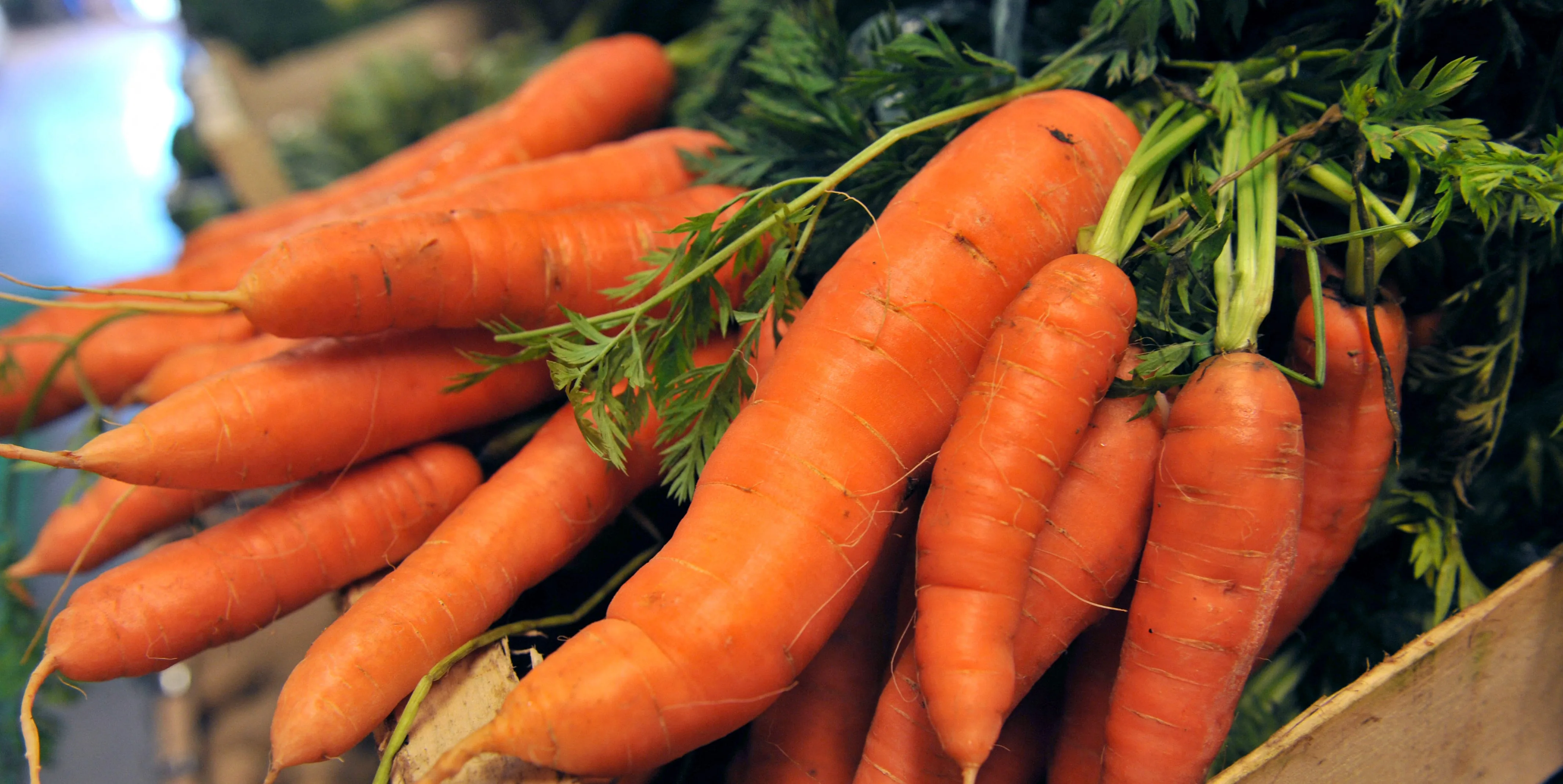 Carrots: Superfood or Threat to Men's Sexual Health?