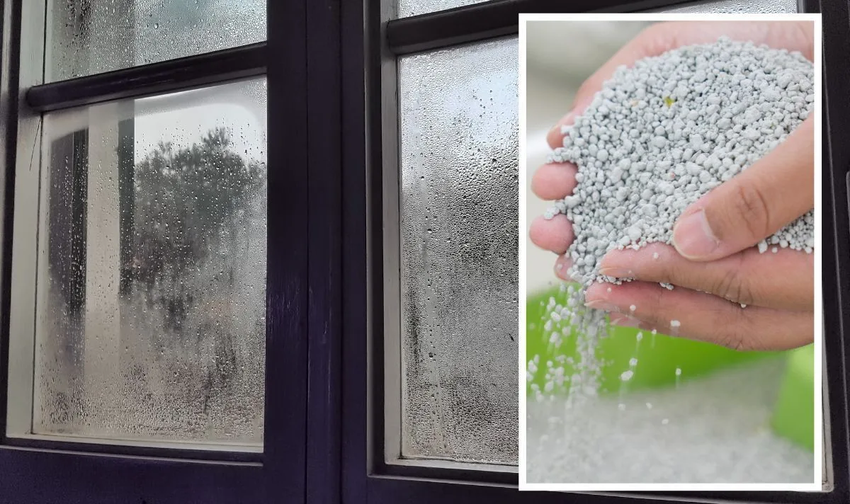 Cat Litter and Salt Bowls: Unconventional Hacks to Stop Window Condensation