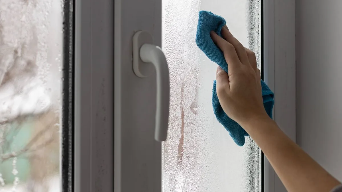 Cat Litter in a Sock: The £1.85 Hack to Stop Window Condensation