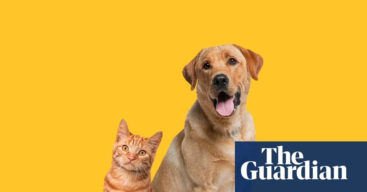 Cats and Dogs May Slow Cognitive Decline, Study Finds
