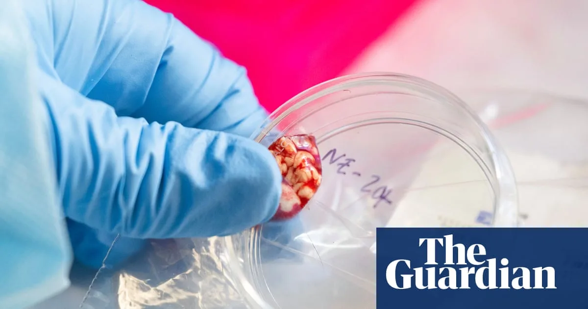 CDC Suspends Disease Testing Amid Staffing Crisis