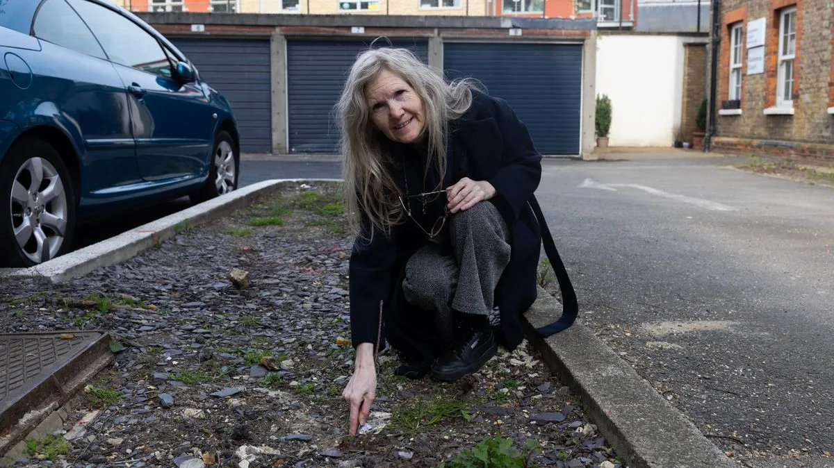 Chelsea Estate Residents Brand Home 'Rat City' Amid Persistent Vermin Problem