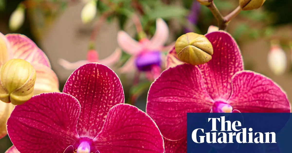 Sex-Themed Garden to Break Taboos at Chelsea Flower Show